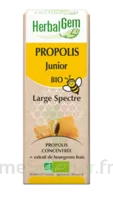 Herbalgem Propolis Large Spectre Solution Buvable Bio Junior Fl Cpte-gttes/15ml à YZEURE